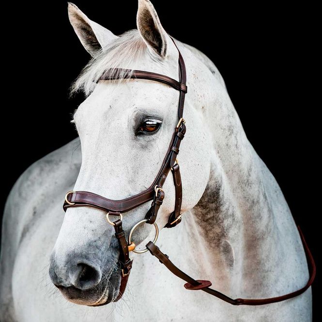 Hovedbilde Horseware Micklem Multi Hodelag 