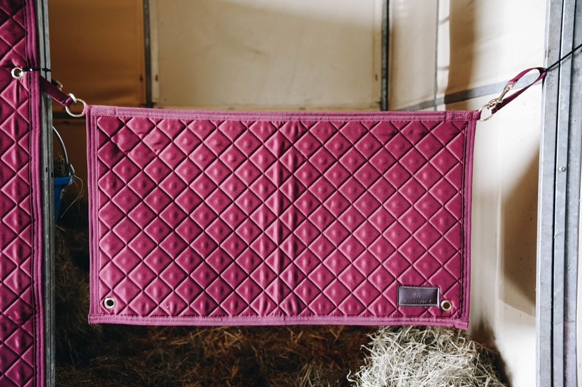 Kentucky Stable Guard