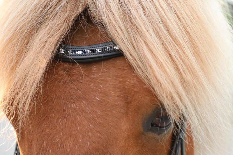 SE Design Loki Hodelag