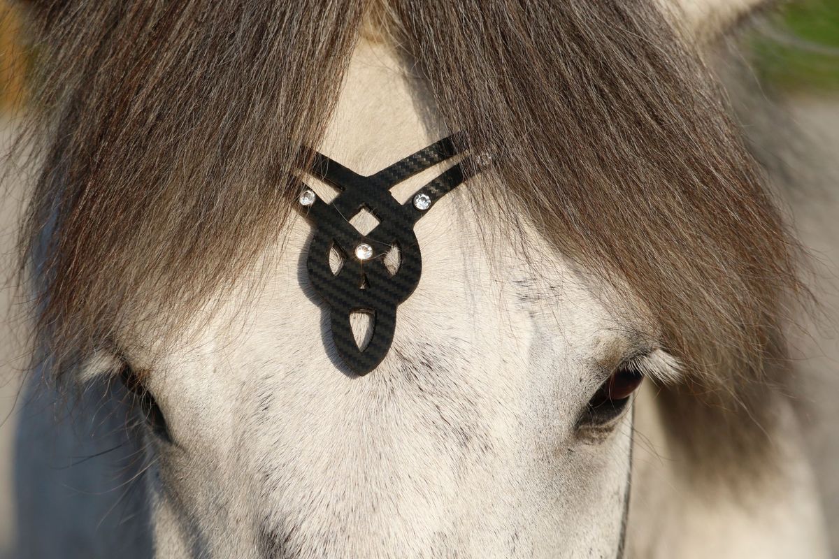 SE Design Odin Nakkereim