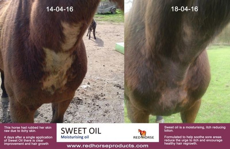 Sweet Oil - 500ml