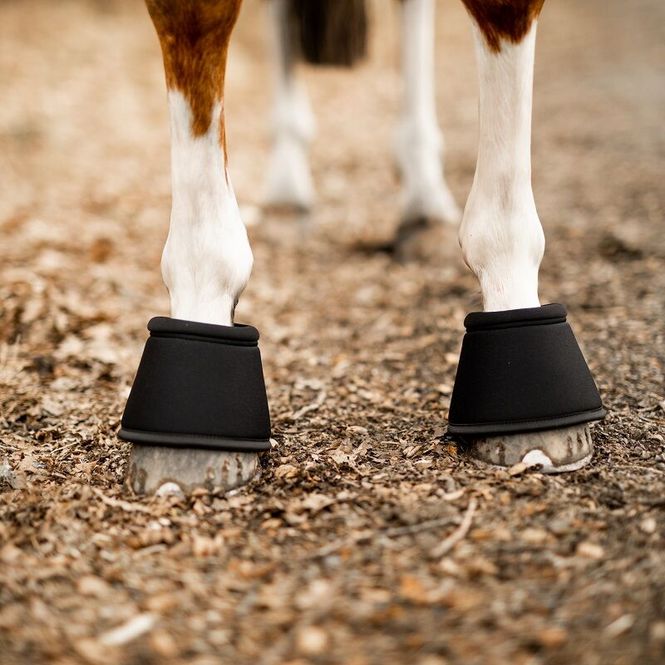 Hovedbilde Skoies Bell Boots i Neopren