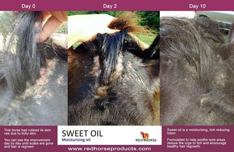 Sweet Oil - 500ml