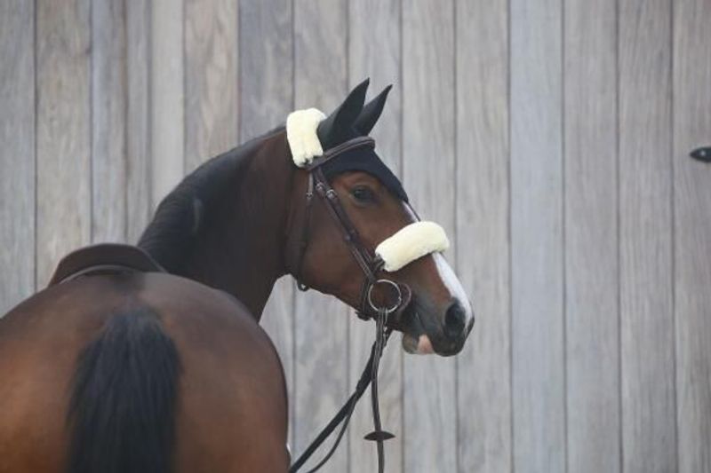 Kentucky lammeskinn beskytter- Flere Farger