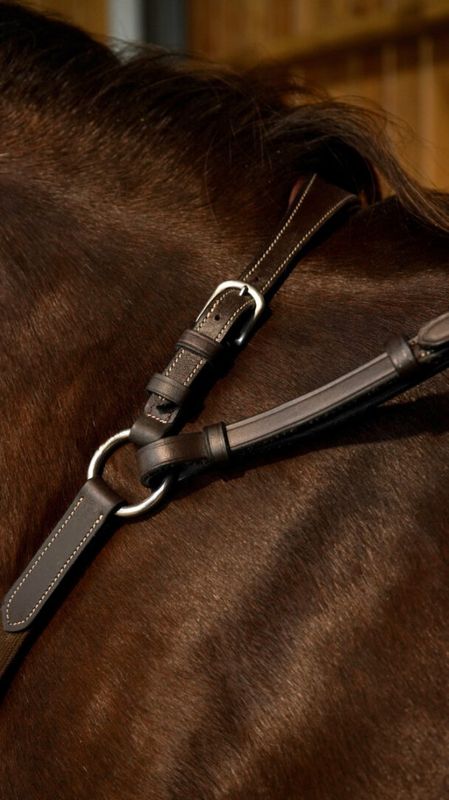 Dyon Fortøy Elastisk -  Working Collection