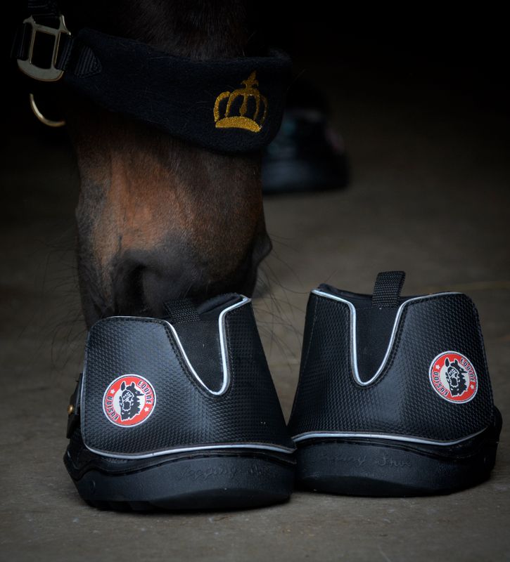 Equine Fusion Active Jogging Shoe