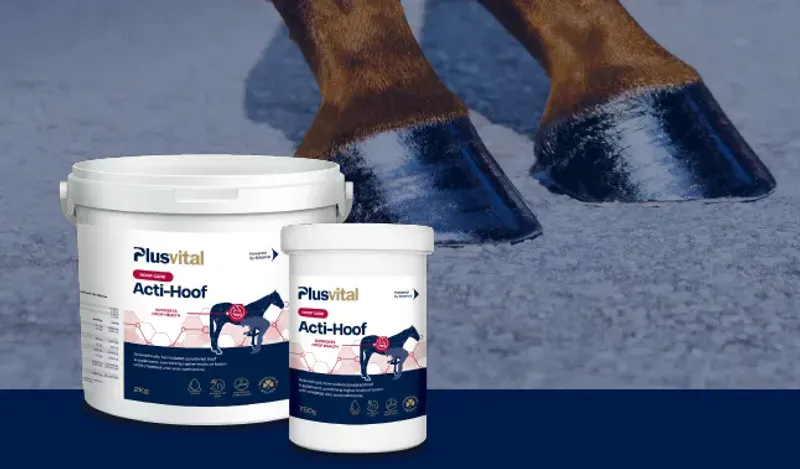 Plusvital Acti-Hoof 750g