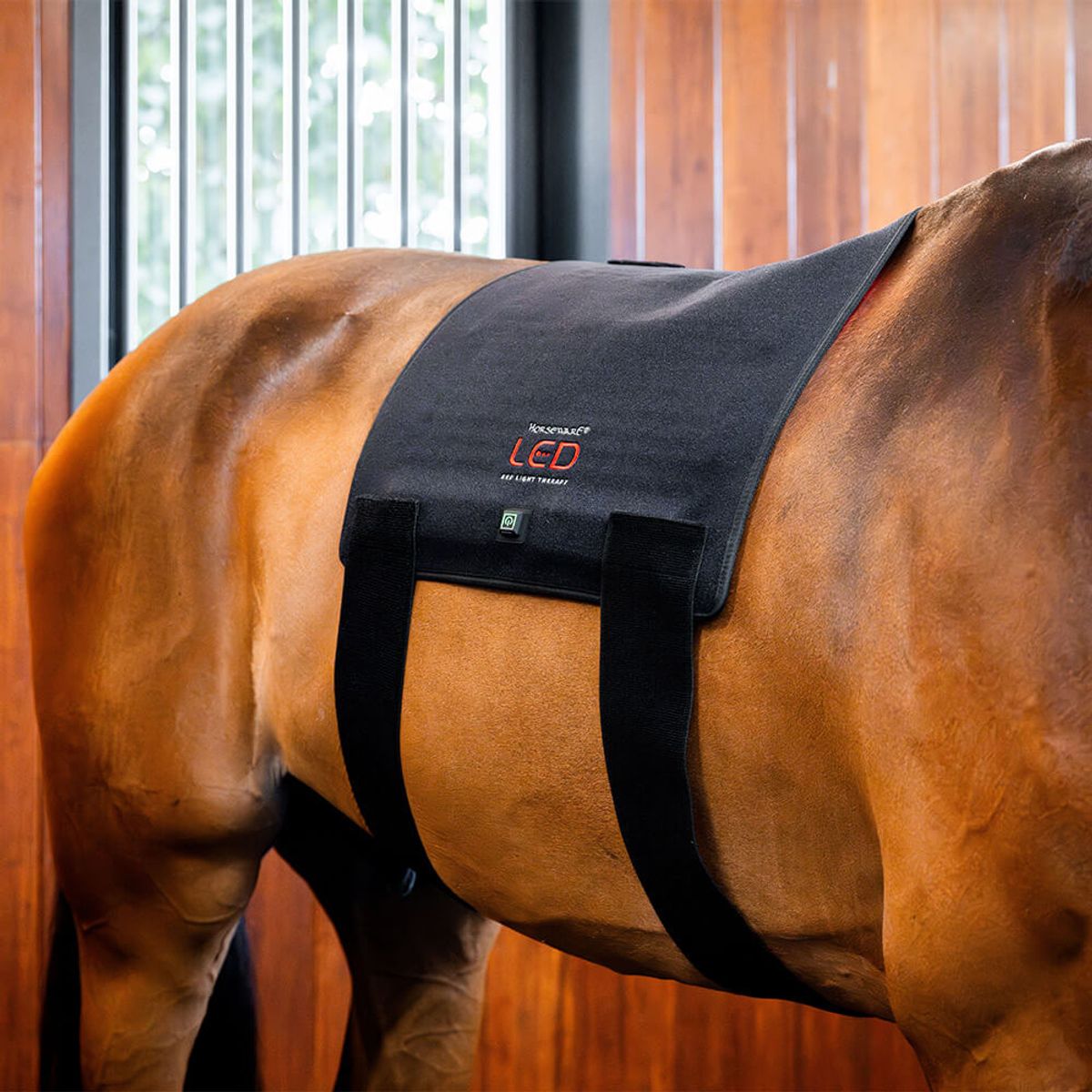 Horseware Led Red Light Pad 