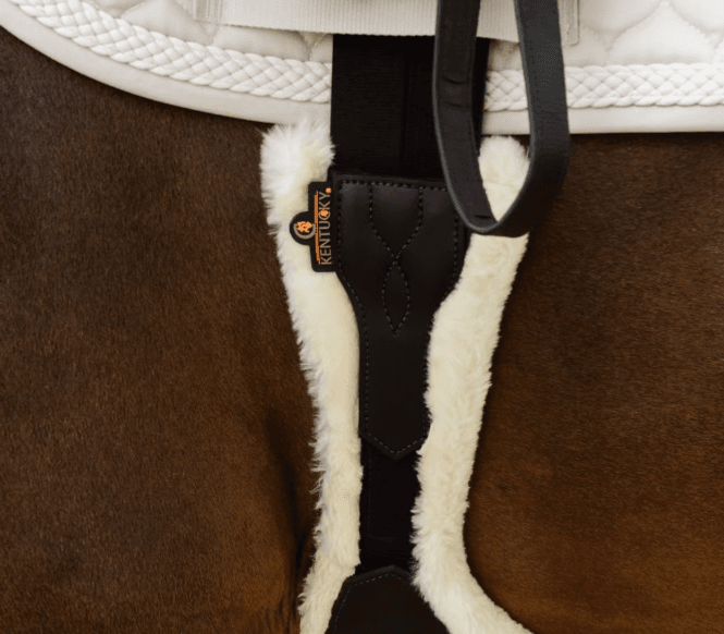 Hovedbilde Kentucky Anatomisk Plategjord m/saueskinn 