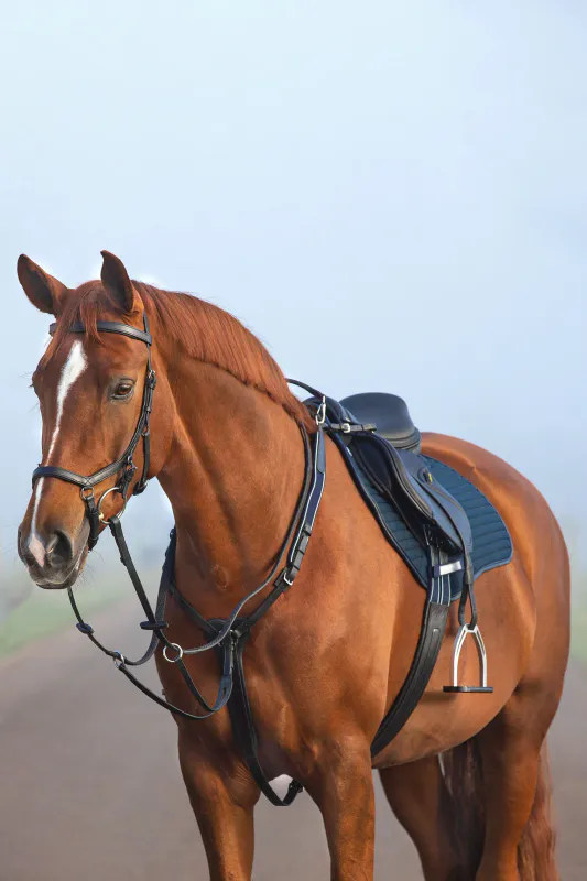 Micklem Forstykke m/martingal 