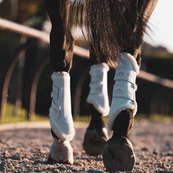 Hovedbilde Veredus TRB STS Bakbensbelegg 