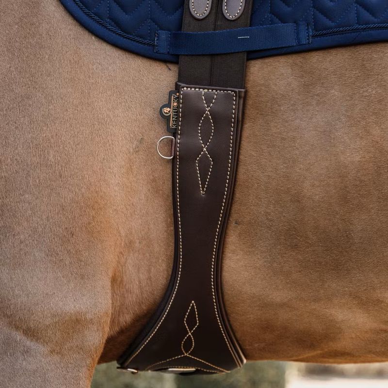 Kentucky Anatomisk Gjord