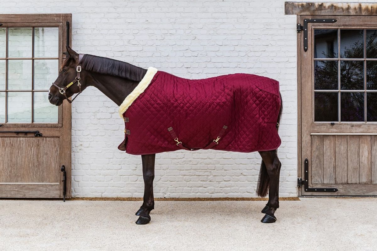 Kentucky Show Rug 160gr