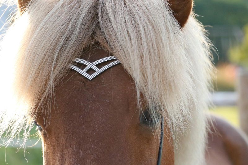 SE Design Stormur Nakkereim