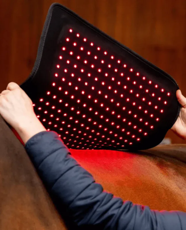 Horseware Led Red Light Pad 