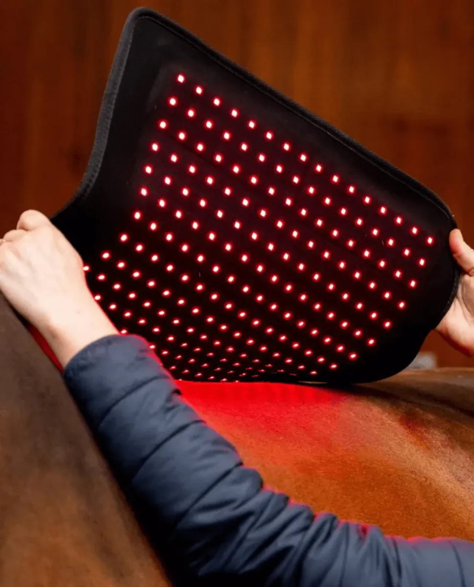 Horseware Led Red Light Pad 