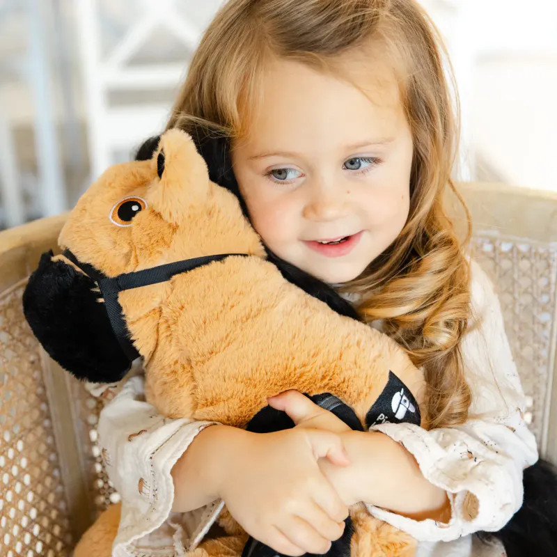 Piccoli English Ponni - Toffee