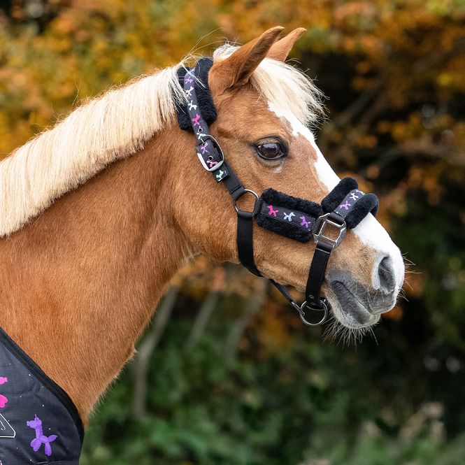 Hovedbilde Isalyn Grimesett - Unicorn Dream 