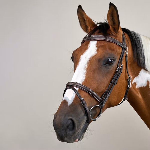 Hovedbilde Dyon Hodelag Working Collection m/mønstersøm