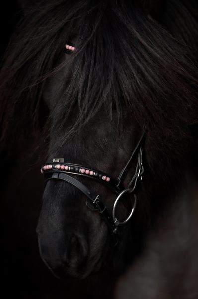Hovedbilde Top Reiter Orka Nakkereim - Rosa