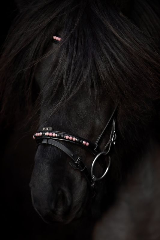 Top Reiter Orka Nakkereim - Rosa