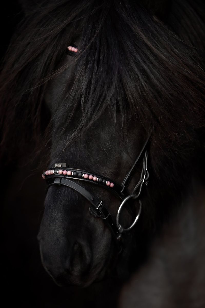 Top Reiter Orka Nakkereim - Rosa