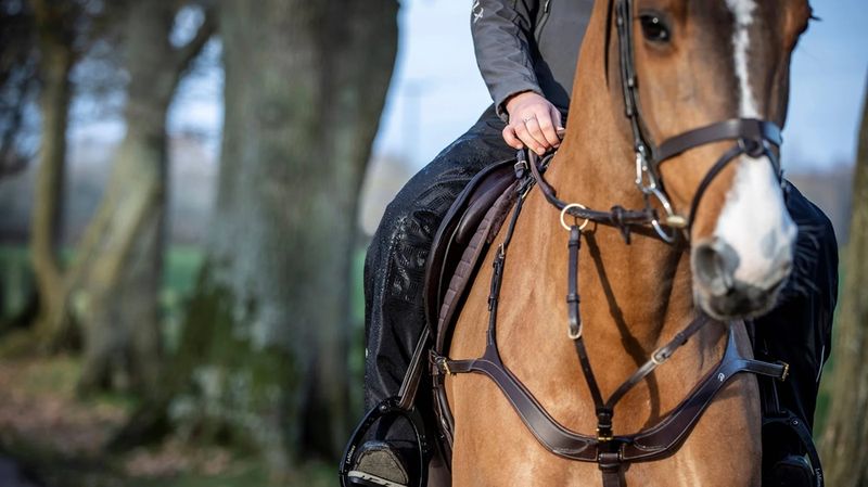 LM Stormwear Chaps
