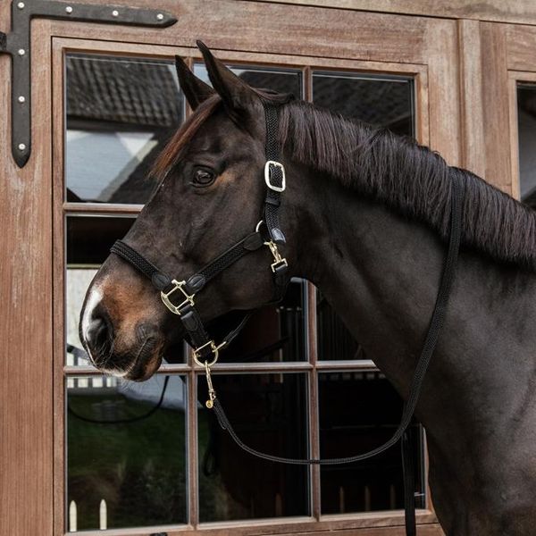 Hovedbilde Kentucky Plaited Nylon Grime