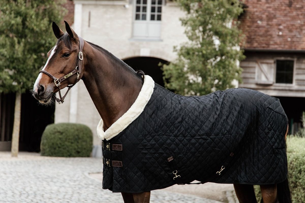 Kentucky Show Rug 160gr
