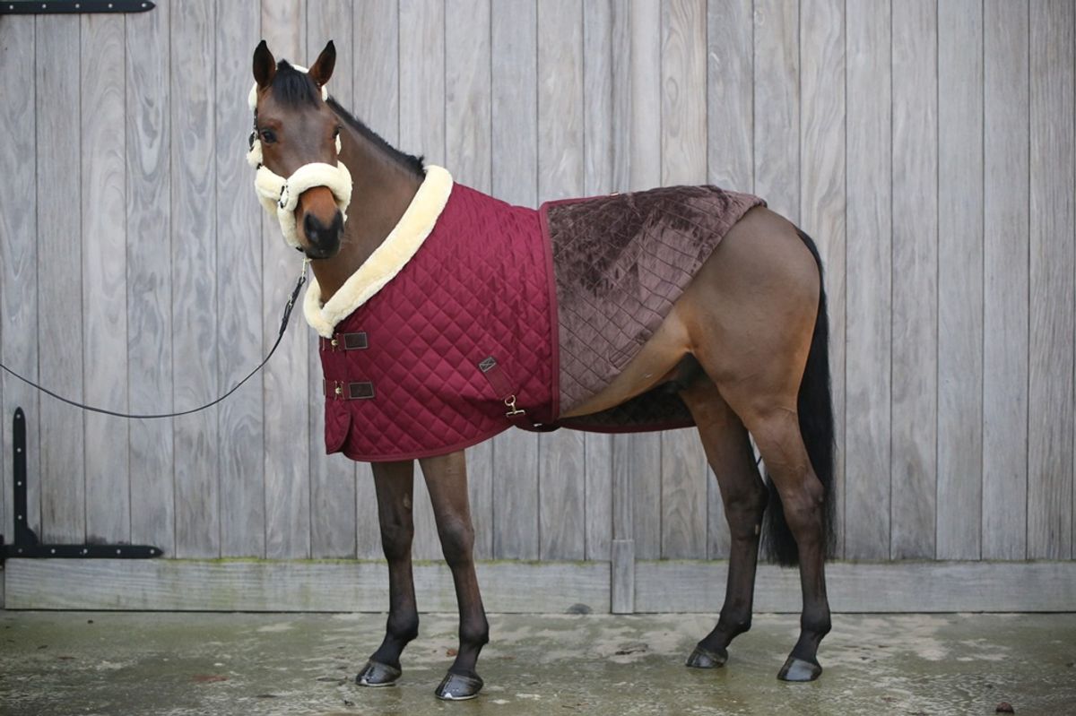 Kentucky Show Rug 160gr