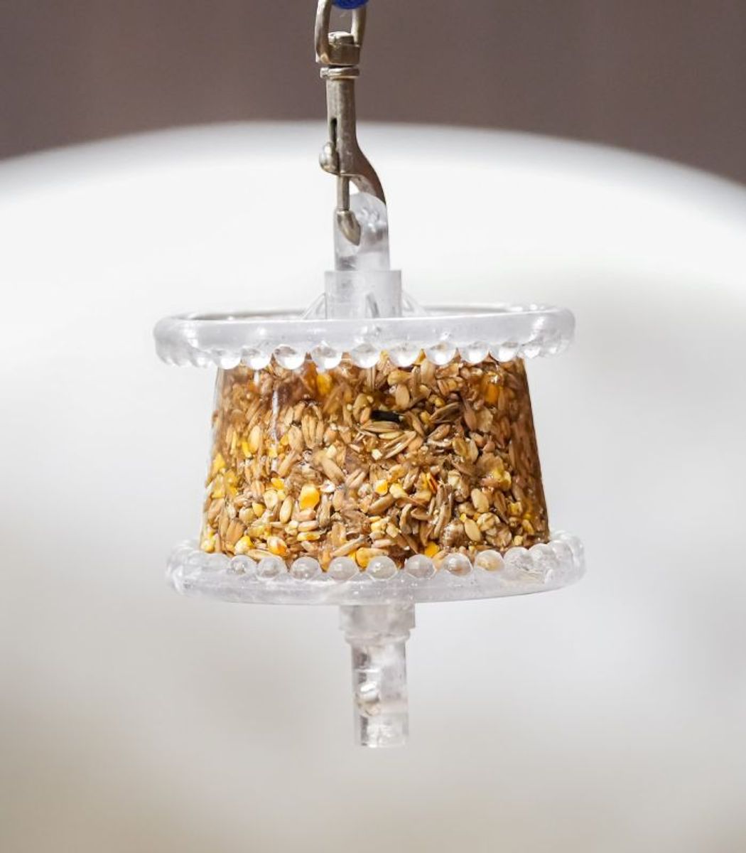 Likit Granola Mixed Berry