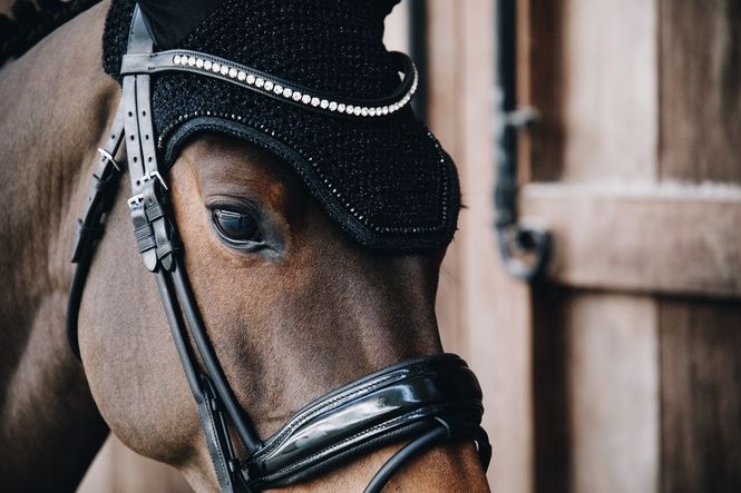Hovedbilde Kentucky Ørehette Glitter Soundless