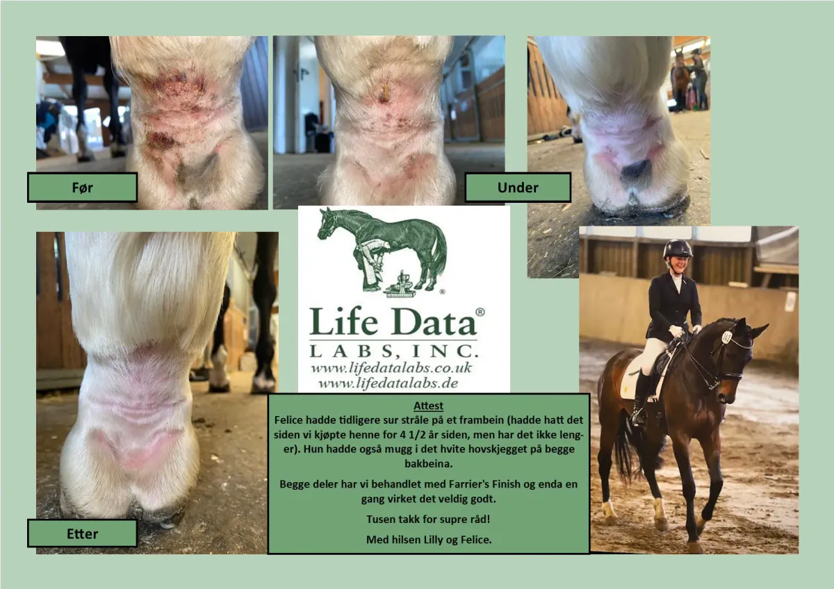 Farrier's Finish Life Data
