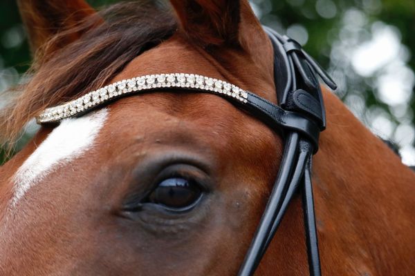 Hovedbilde SE Design Zircon Rundsydd Dressurhodelag 