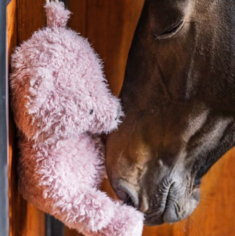 Kentucky Relax Horse Toy Bear