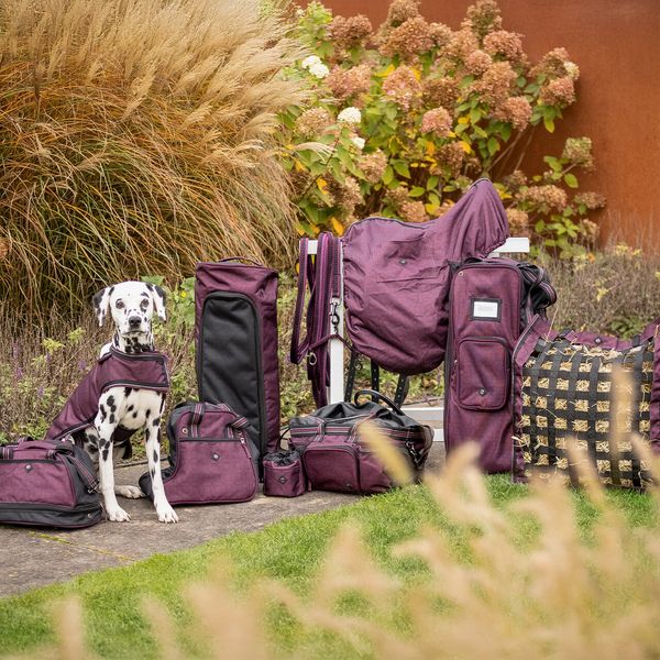 Hovedbilde QHP Bag til Hodelag