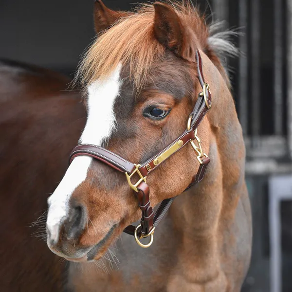 Hovedbilde By Equalityline Lærgrime