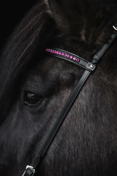 Hovedbilde Top Reiter Demantur Nakkereim - Rosa