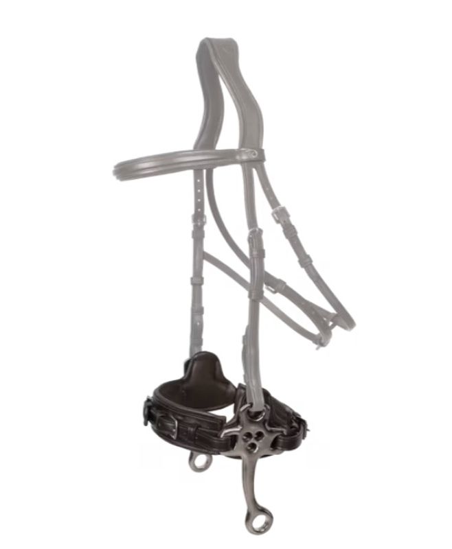 Dyon Hackamore