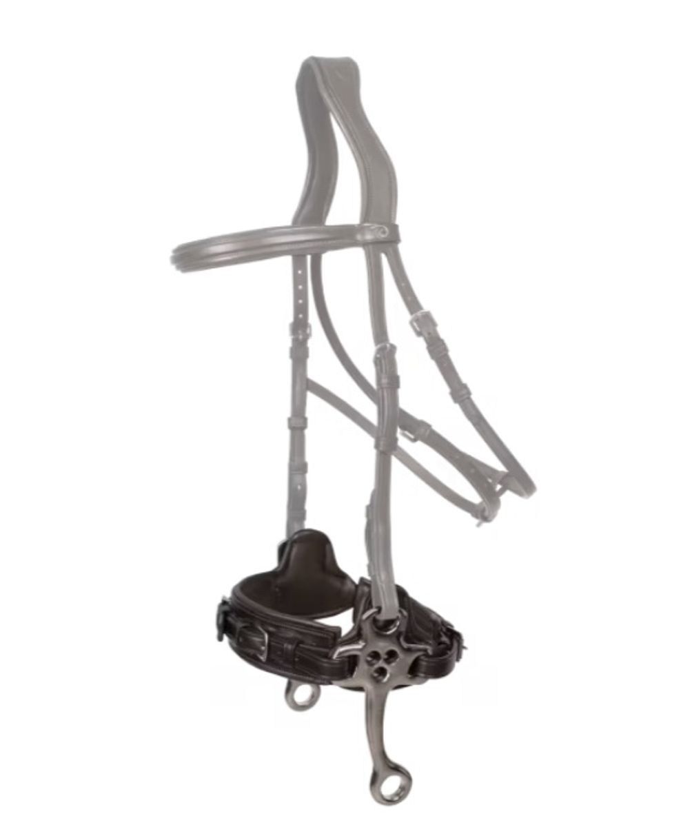 Dyon Hackamore