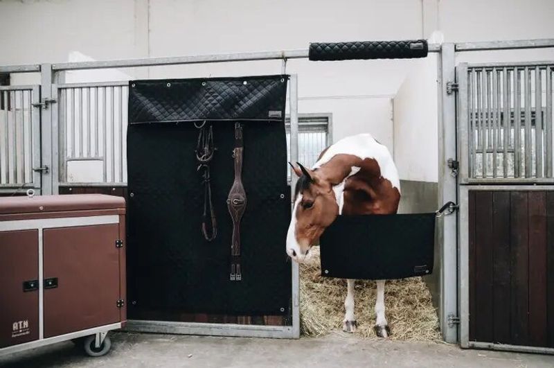 Kentucky Hodebeskytter til boks