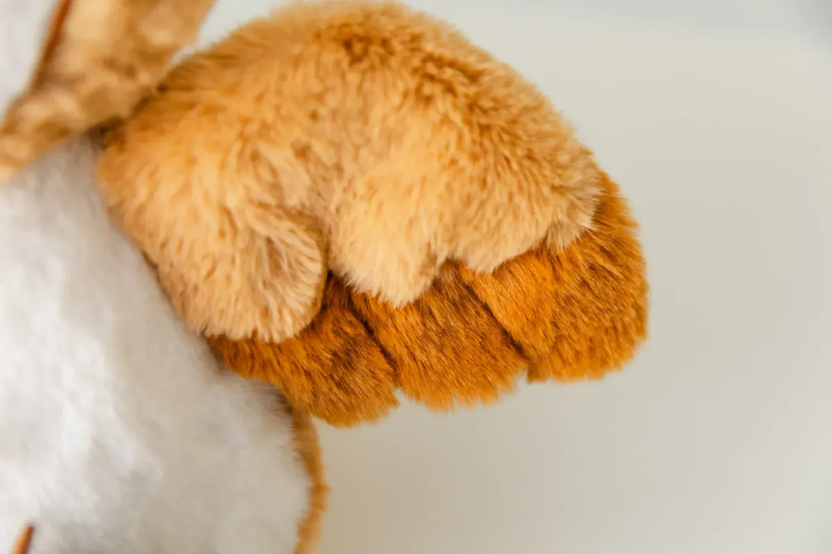 Piccoli Ugle - Albus Dag