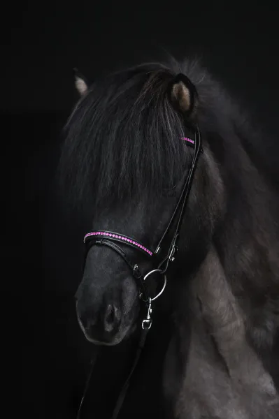 Hovedbilde Top Reiter Demantur Kombinert Nesereim - Rosa