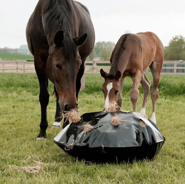 Hovedbilde Grooming Deluxe Play & Haybag Slow Feeder - 110cm