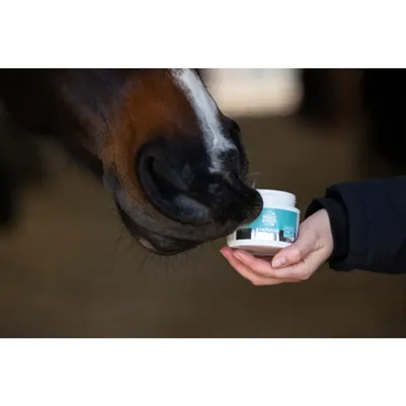 MagicBrush Lucky Lip Balm For Hester