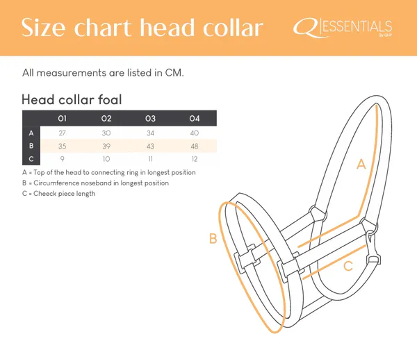 Hovedbilde QHP Falabella Føllgrime 