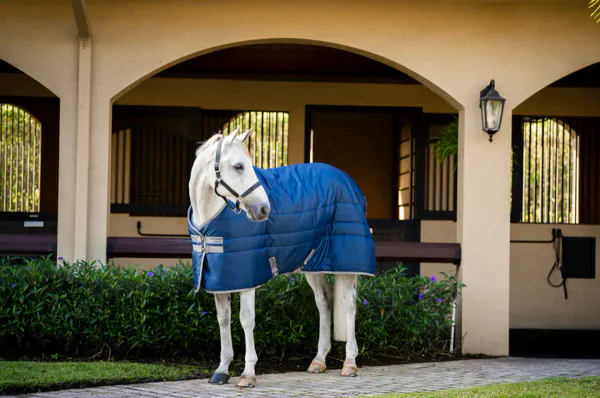 Hovedbilde Amigo Insulator Ripstop 200 gram