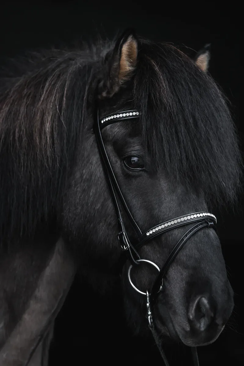 Top Reiter Demantur Nakkereim - Krystall