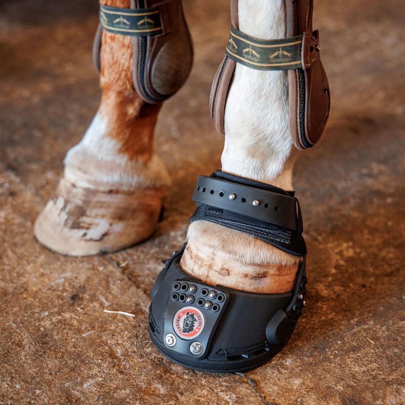 Equine Fusion Trailblazer