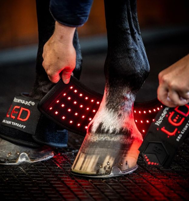 Hovedbilde Horseware LED Red Light Therapy Mini Wrap